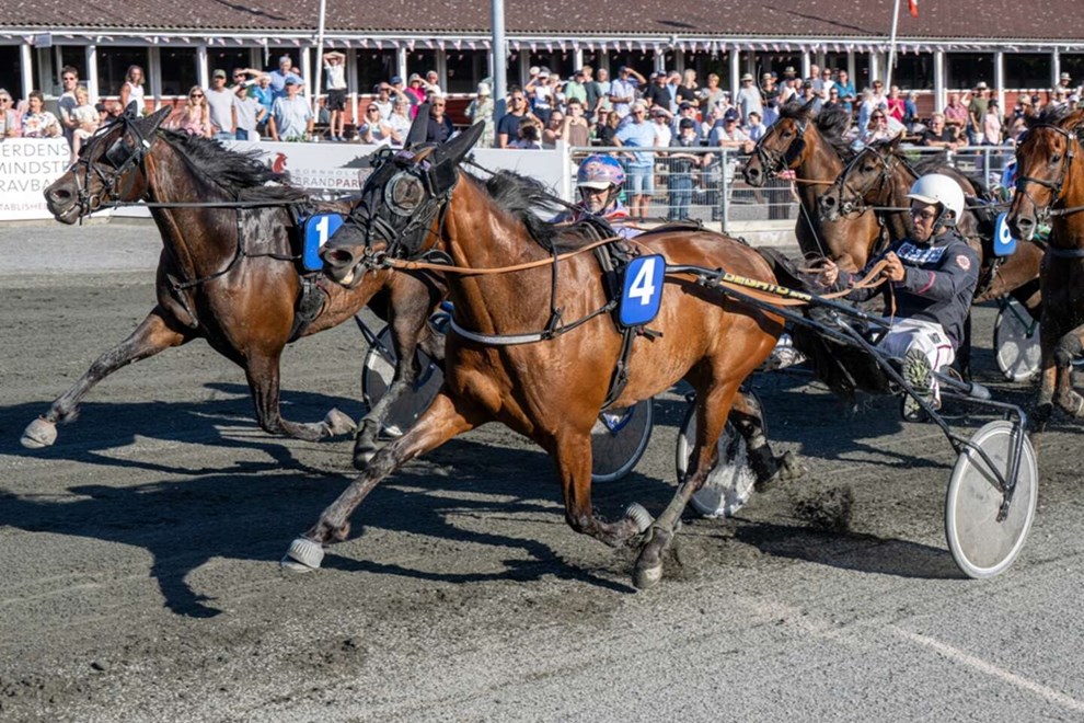 De sm� felters aften p� travbanen