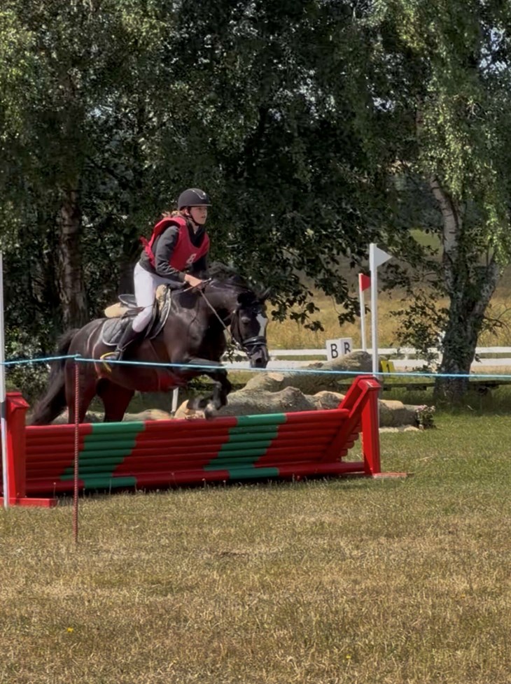 Foreningen Bornholm Eventing holdt i weekenden sit første stævne siden etableringen i marts. Eget foto