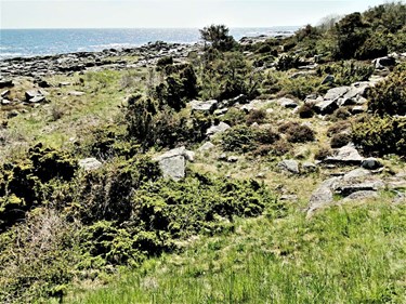 Klippekystens vilde historie