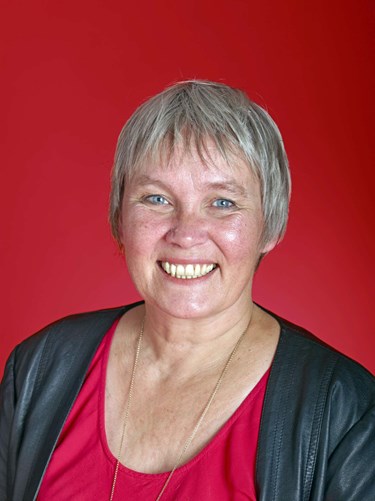 En gorilla kom p� banen - og det fort�ller noget vigtigt