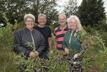 Nu er plantagen solgt