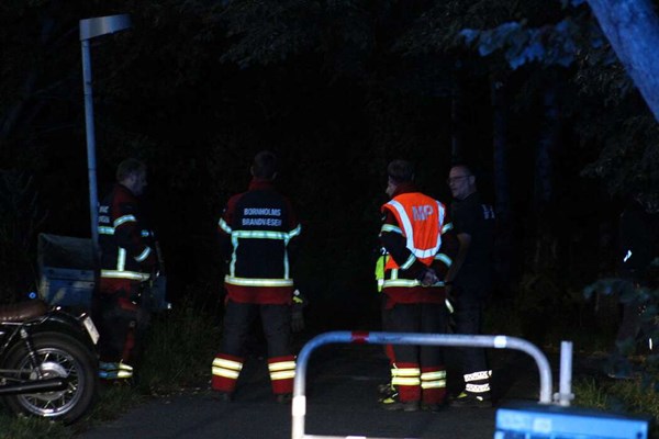 Brand i lygtep�l