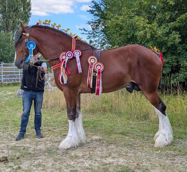 Landets bedste er bornholmsk