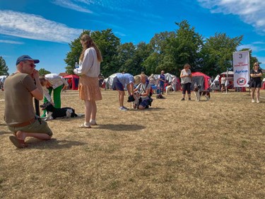 Tusindvis af hunde: 'Der er noget helt s�rligt ved Bornholm'