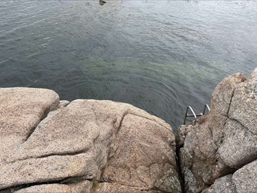 Efter voldsom ulykke: Borgerforening ikke i tvivl