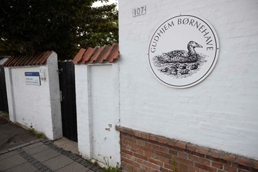 Frygter, at de vildledes: Er sat for skarpt op