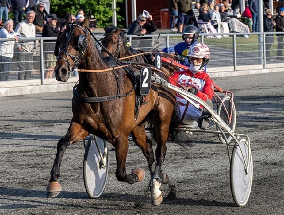 Kissed By Rain i finalen