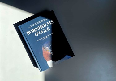 Ny bog fortjener vinger