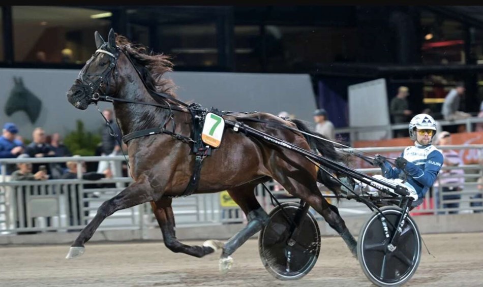 Andenplads til Hustle Rain