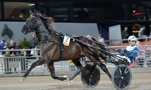Andenplads til Hustle Rain