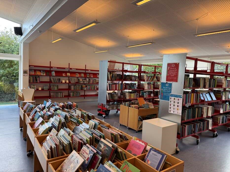 Biblioteker er oprettet for folkeoplysningen � ikke for eliten
