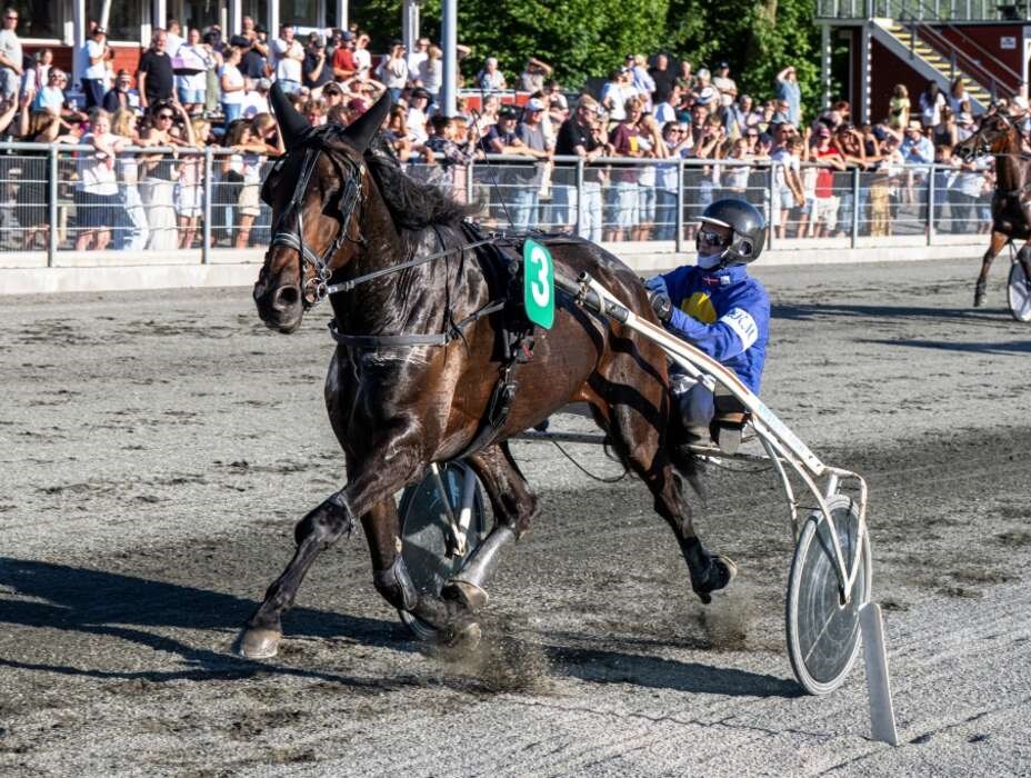 Mads er sikker p� sejren