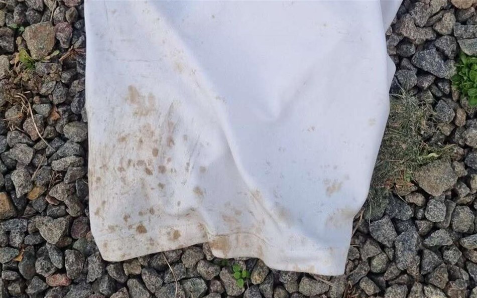Ul�kker fodboldtr�ning: 'Der var lort over det hele'
