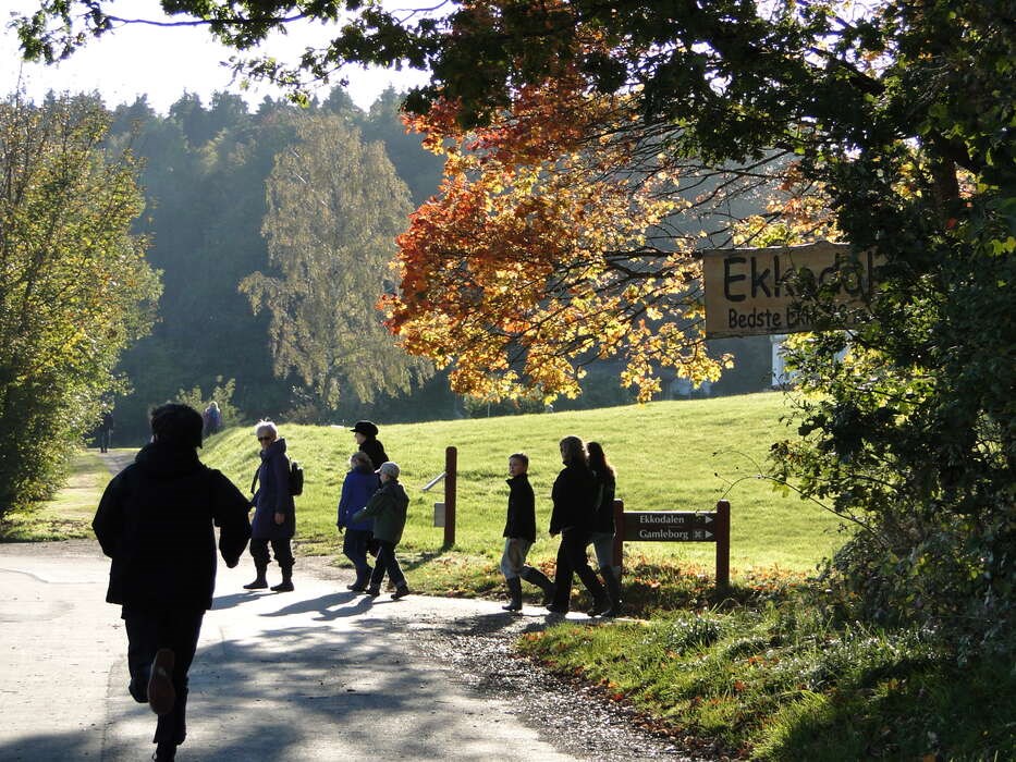 Tag b�rneb�rnene med p� jagt i efter�rsferien: Fra narreguld til troldehoveder