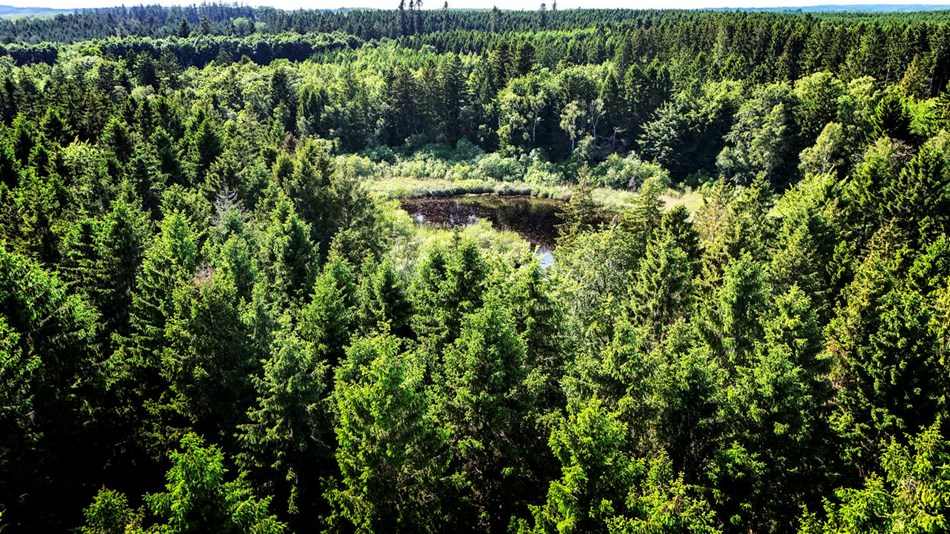 Klage over naturnationalpark er blevet afgjort